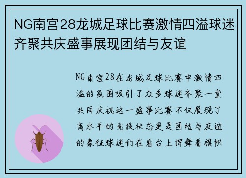 NG南宫28龙城足球比赛激情四溢球迷齐聚共庆盛事展现团结与友谊